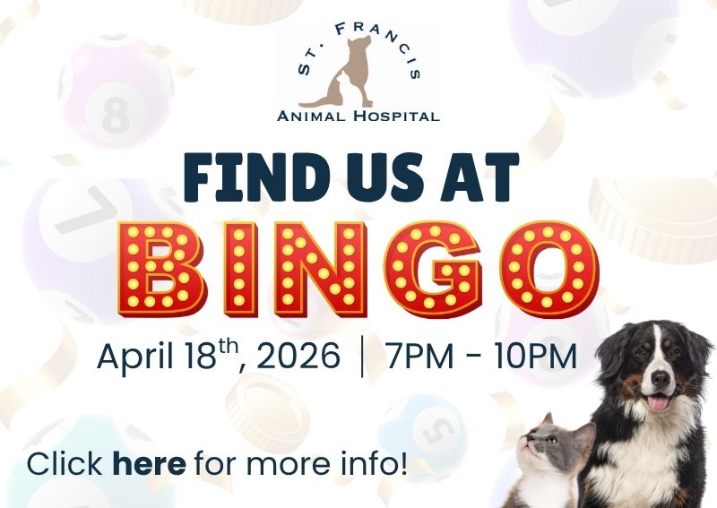 Carousel Slide 1: Find out more here!