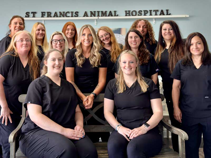 North Huntingdon PA pet hospital