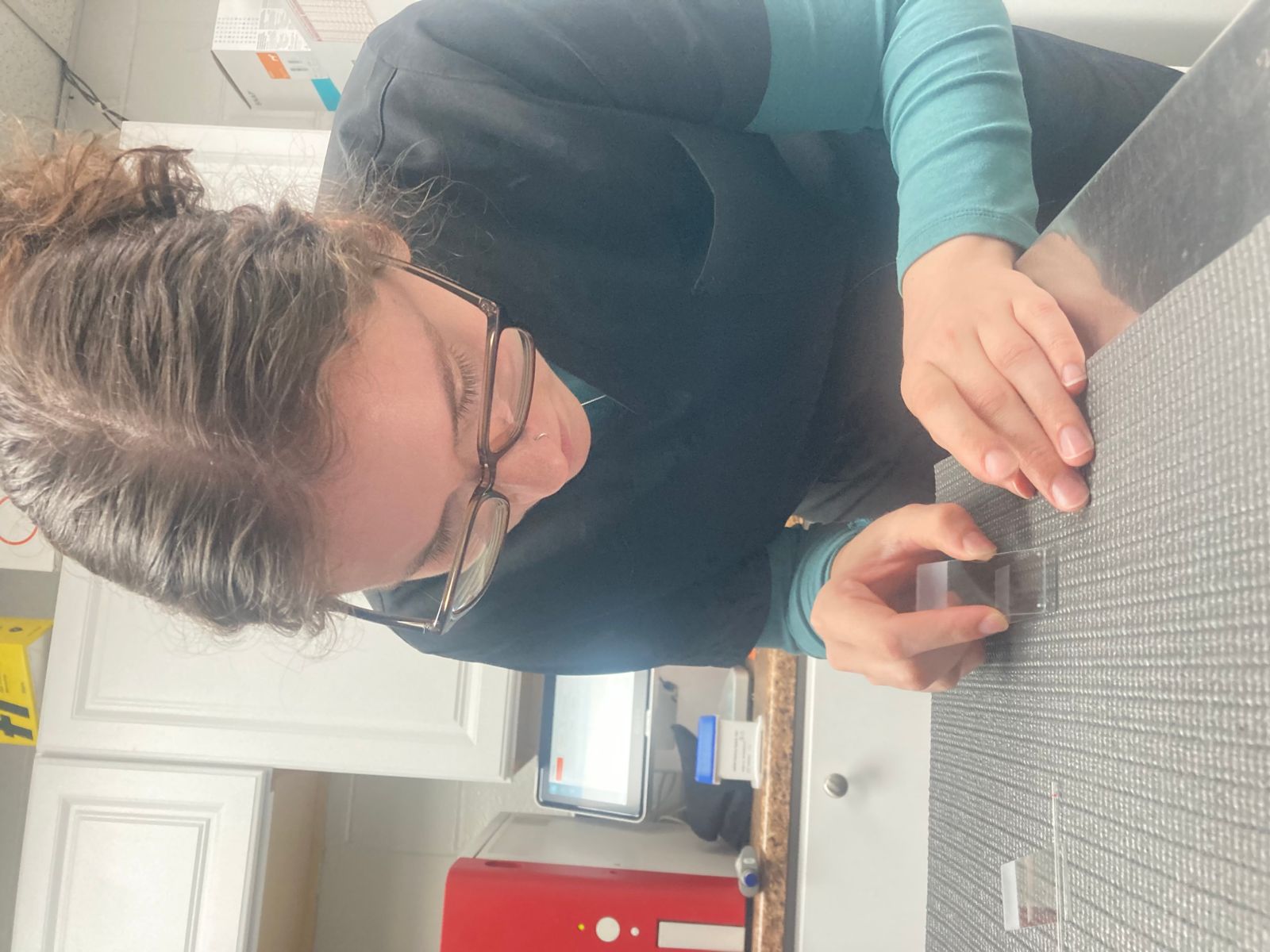 Comprehensive health and wellness benefits